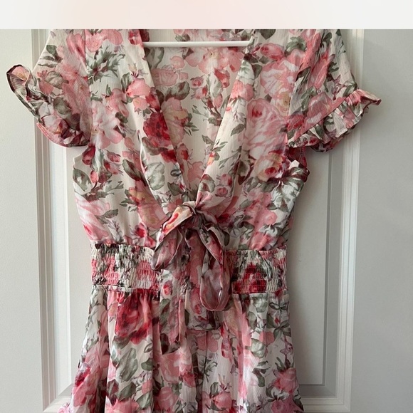 Hello Molly Sweetest Slice Dress Pink Worn Once - Picture 3 of 5